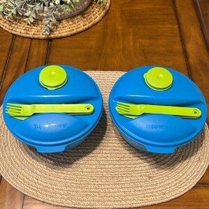 Tupperware Blue and Green Food Storage Set
